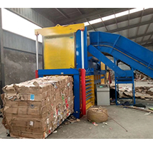 220BD废吨袋打包机