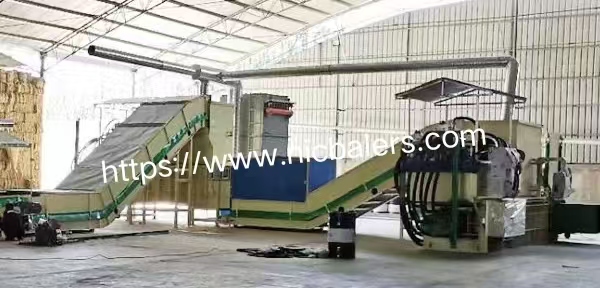 straw bagging machine (4).jpg